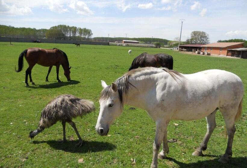 ホテル Los Reales