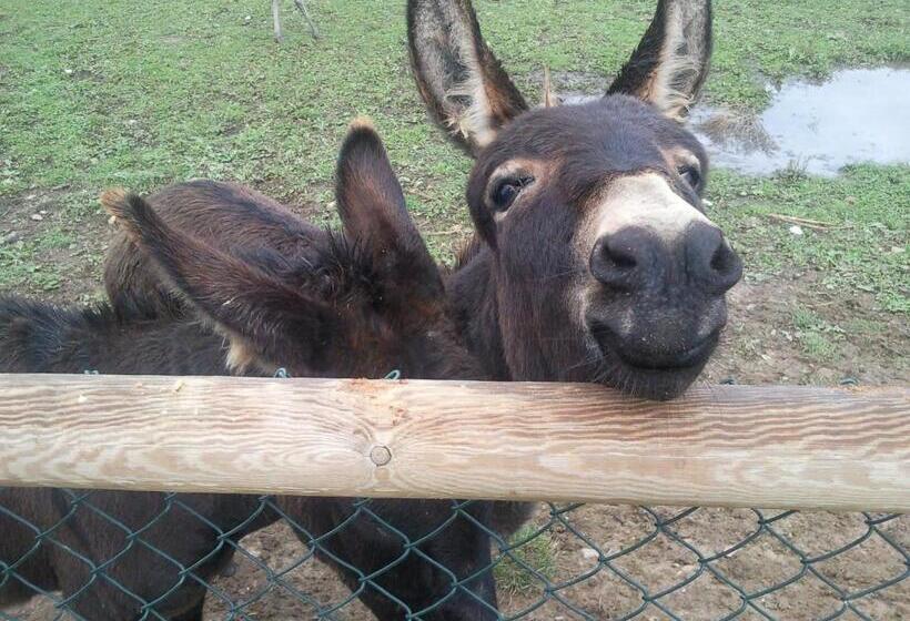 ホテル Los Reales