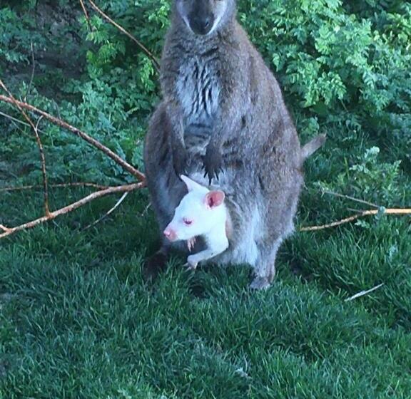 ホテル Los Reales