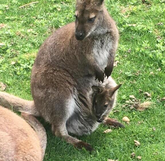 ホテル Los Reales