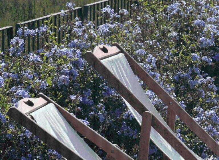 فندق Mas Oliveres Pla De Palau