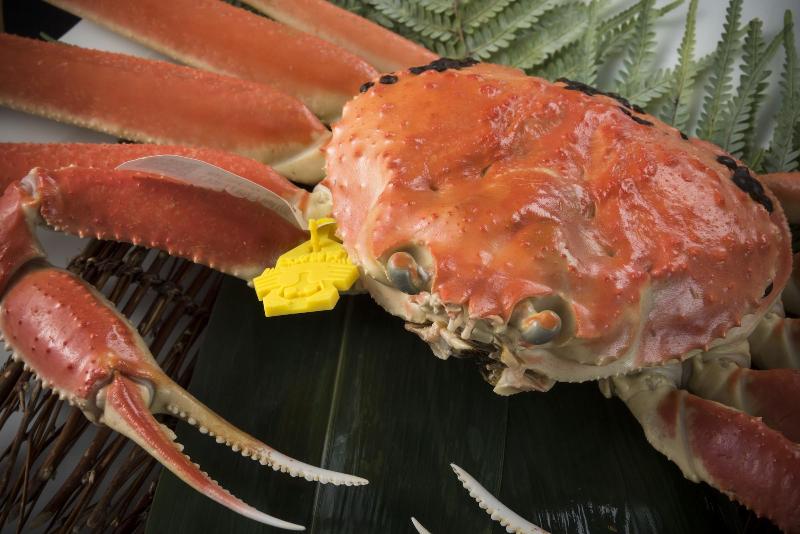 בית מלון כפרי Mikuni Ocean Resort&