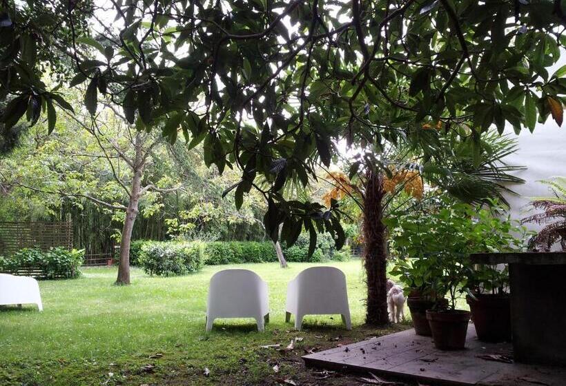 בית מלון כפרי Posada La Panaderia De Castañeda