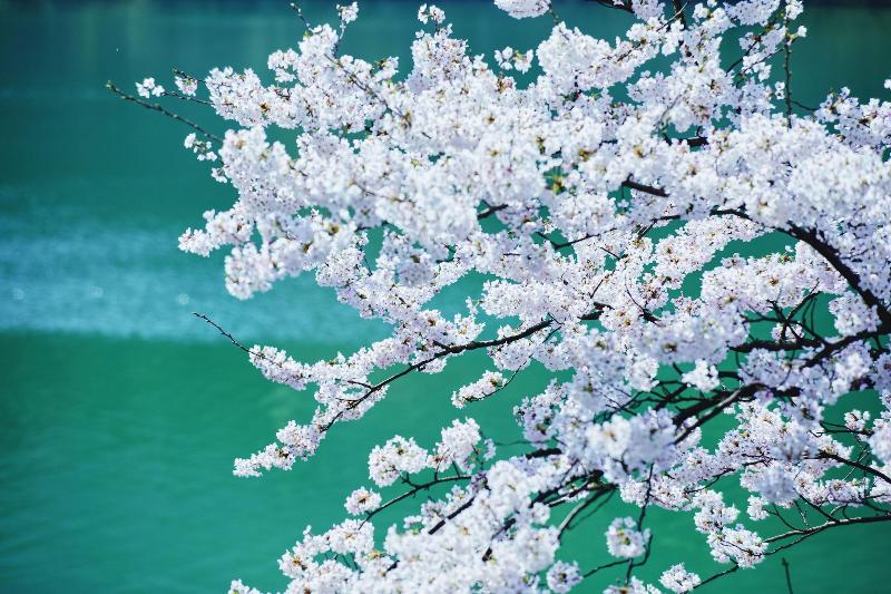 Отель River Retreat Garaku