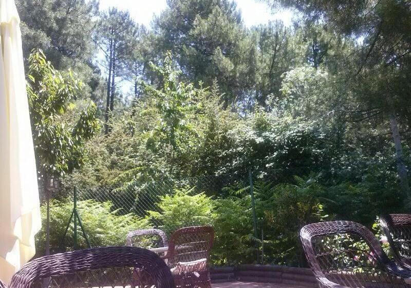 בית מלון כפרי El Bosque De La Herrezuela