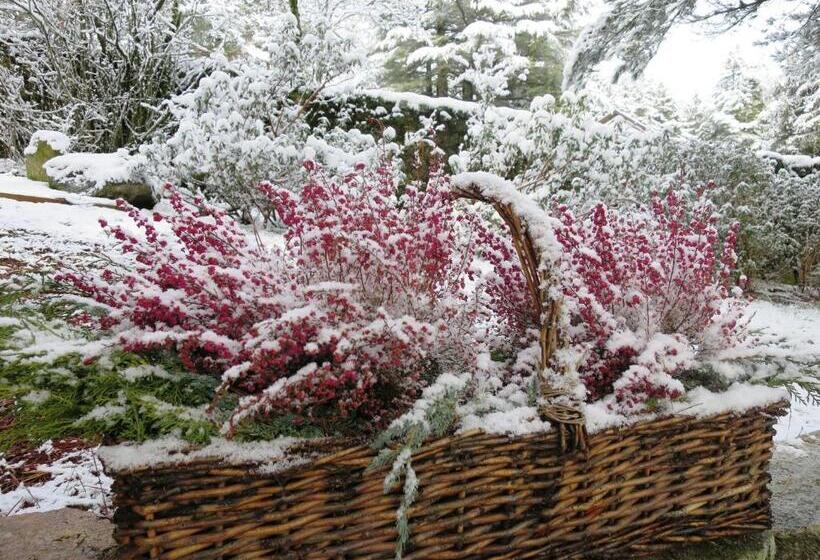 فندق Rural Las Rozuelas