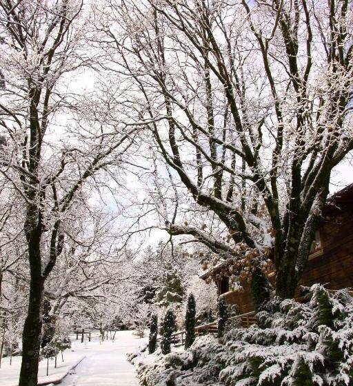 בית מלון כפרי Rural Las Rozuelas