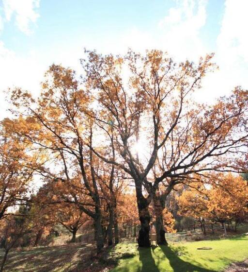 فندق Rural Las Rozuelas