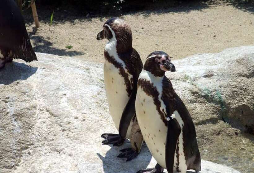 Skyheart Hotel Shimonoseki