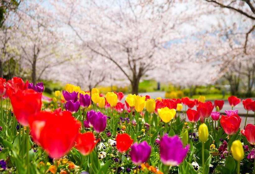 Отель Tresta Shirayama