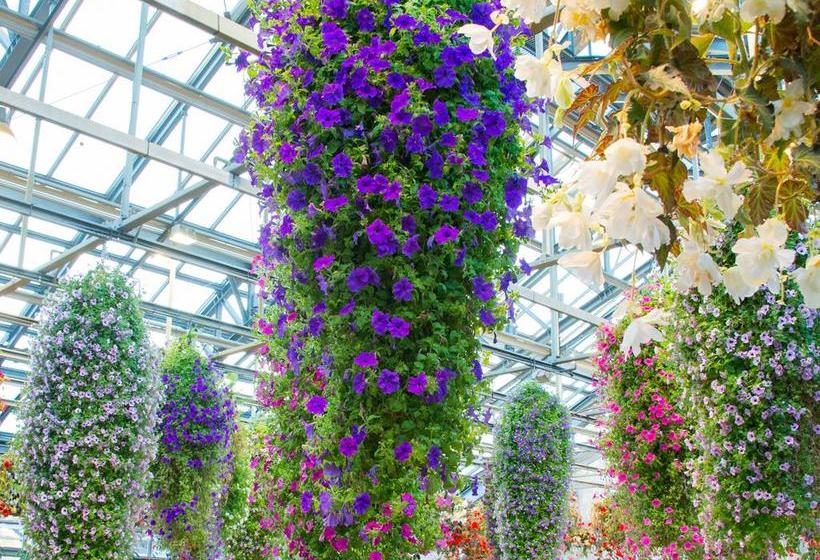 فندق Wellness Suzukaji