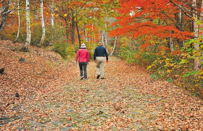 فندق Yuzawa Yuzawa Denkiya