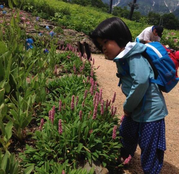 K S House Hakuba Alps Travelers Hostel