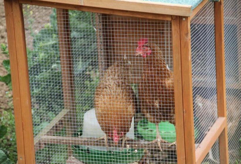 Mas Vilosa Bed And Breakfast