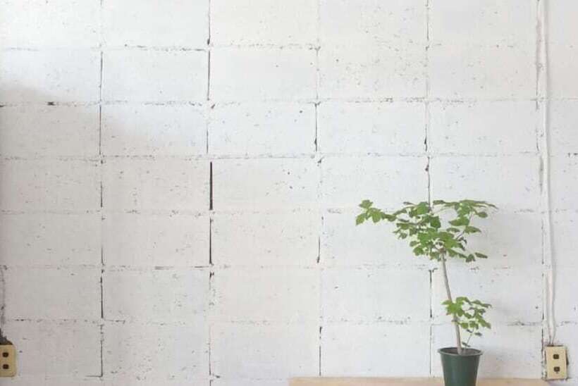 Nikkosan Backpackers Inn   Hostel