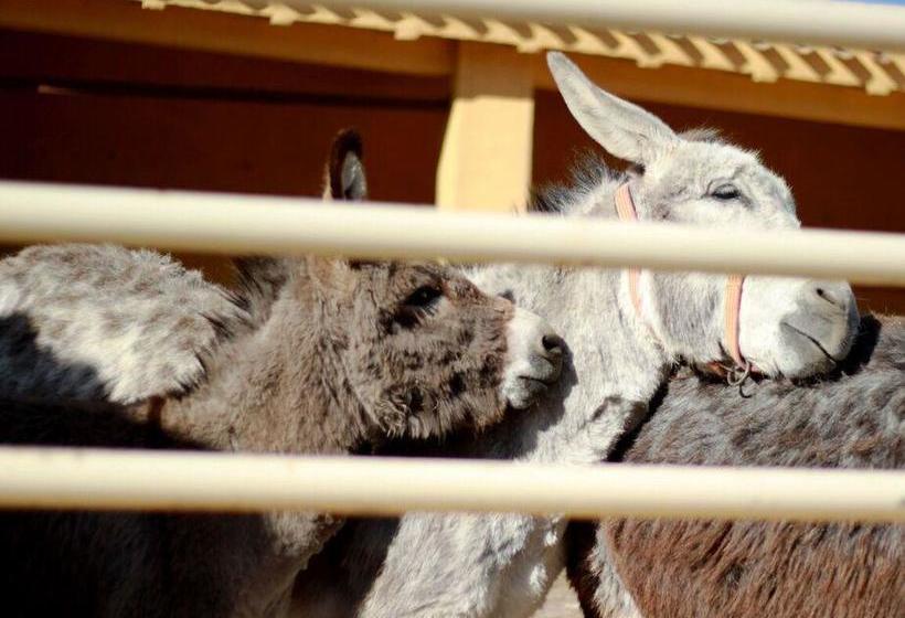منتجع Caserio Inazares   Montaña, Chimenea, Nieve, Barbacoa
