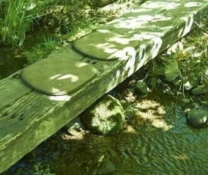 ريوكان Asono Yamaboshi