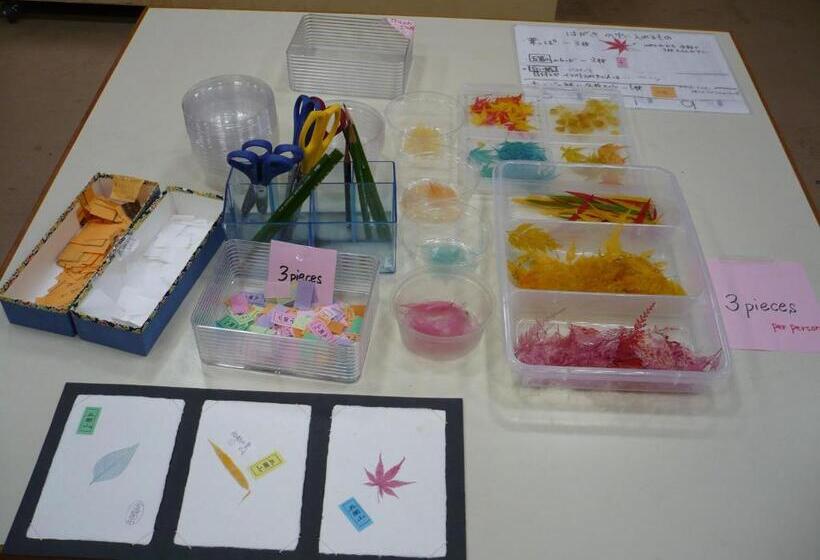 ريوكان Gokayama Onsen Akaokan