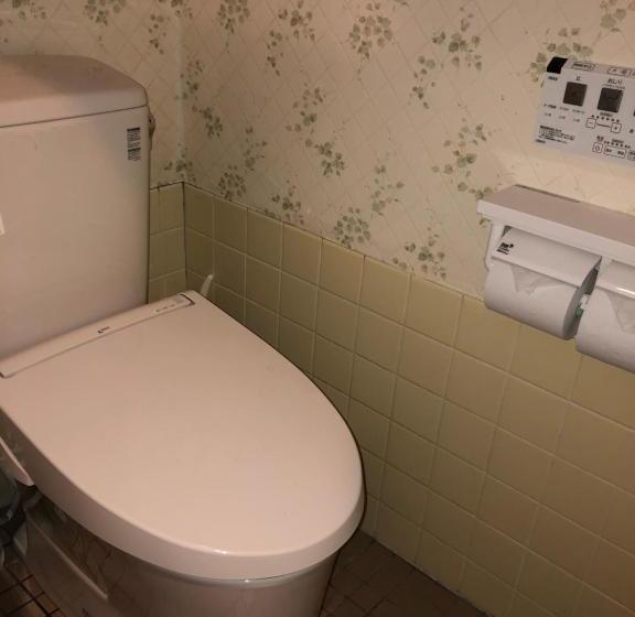 ریوکان Ichifujiso