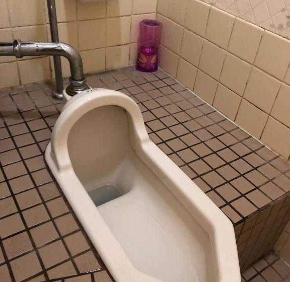 ریوکان Ichifujiso