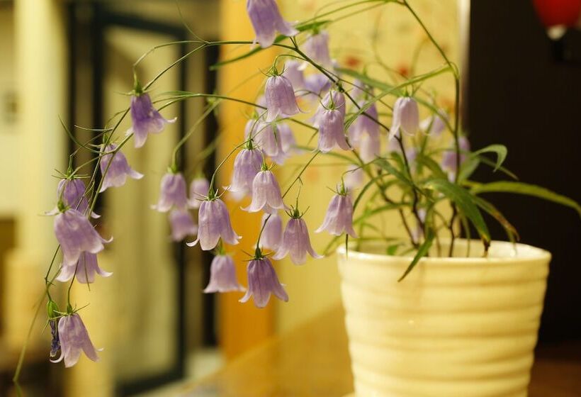 Ryokan Kutsuroginoya Yuu