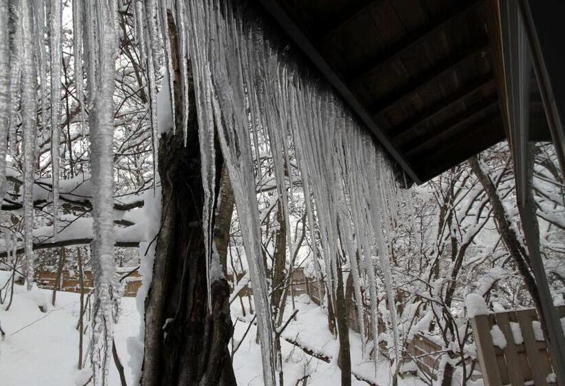 ריוקאן Nakaodaira
