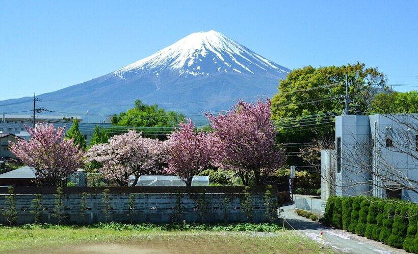 ریوکان Maruyaso