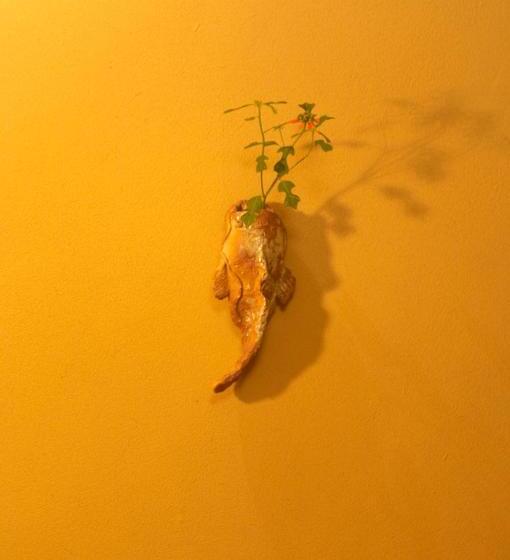 ריוקאן Sekitei