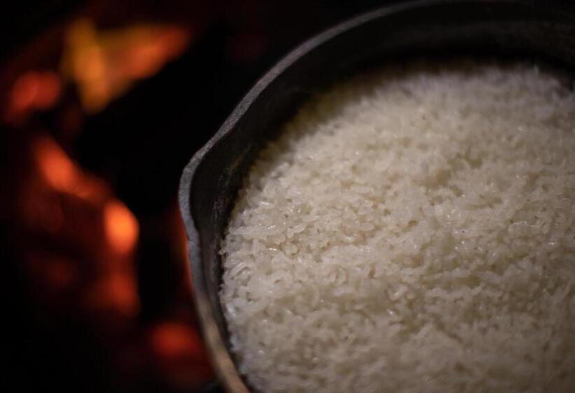 ريوكان Shirakaba