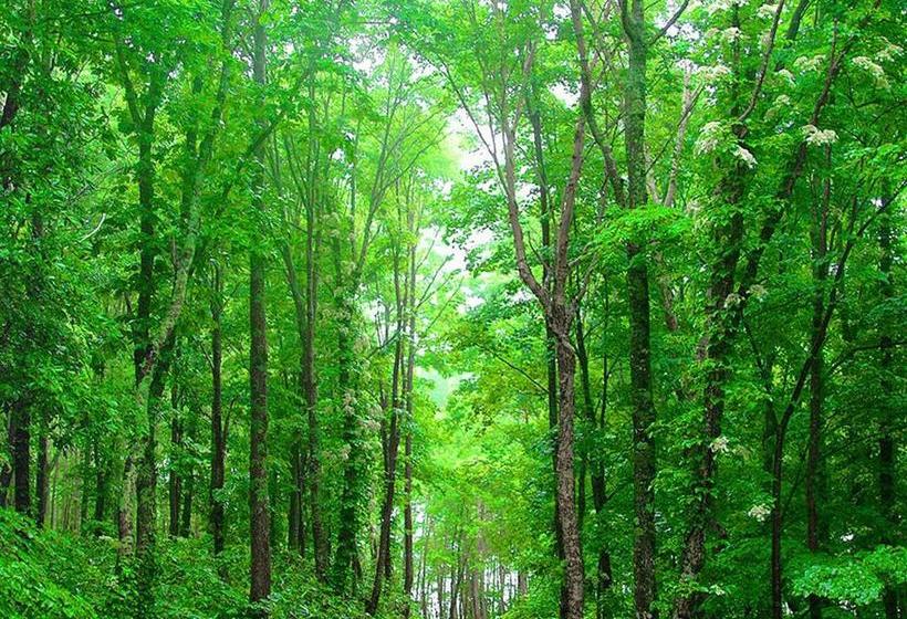 فندق The Kiroro, A Tribute Portfolio , Hokkaido