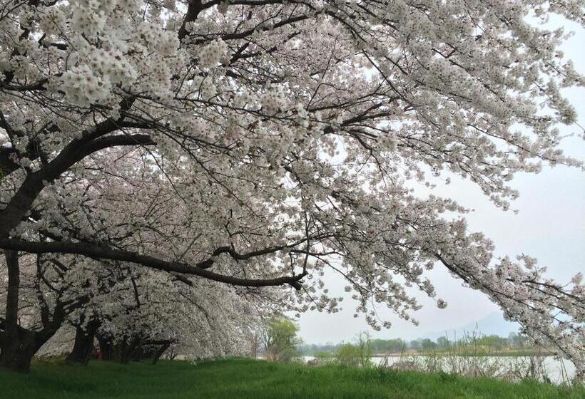 Рёкан Yudanaka Onsen Yamazakiya