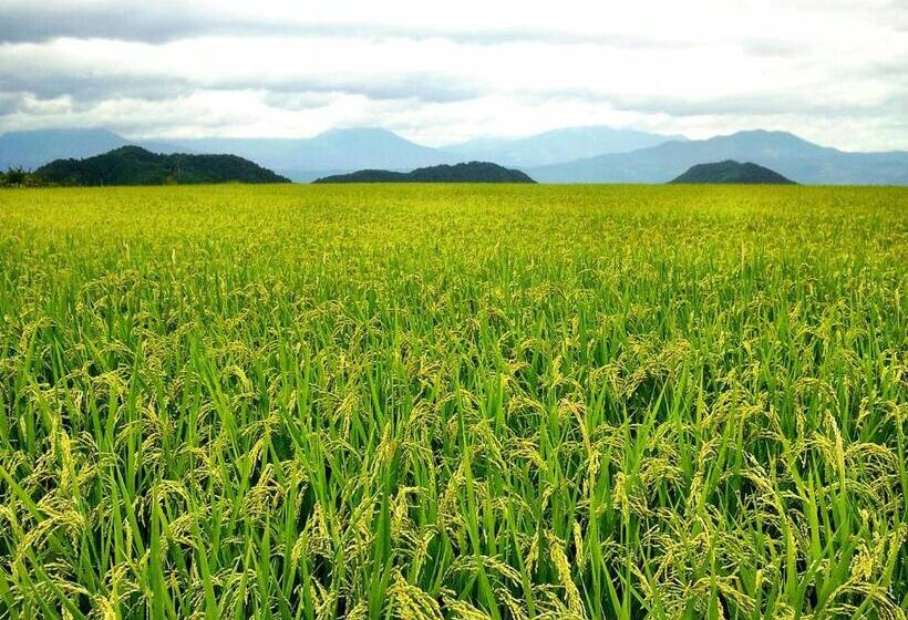 Рёкан Yudanaka Onsen Yamazakiya