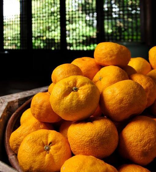 Yuzuya Ryokan   Adult Only