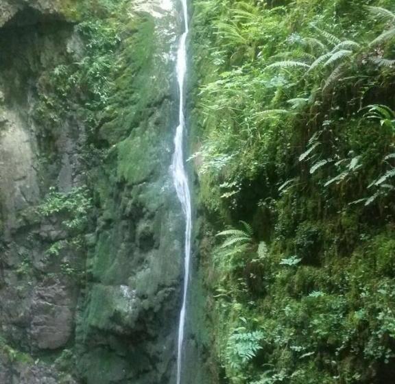 Albergue Armaia Artepea