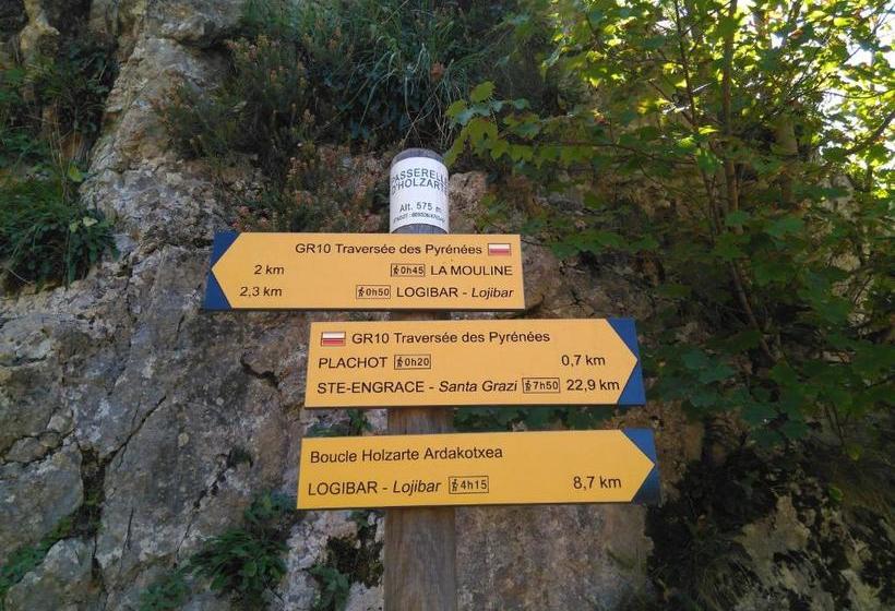 Albergue Armaia Artepea