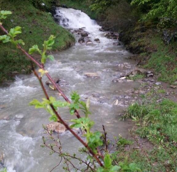 Albergue Armaia Artepea