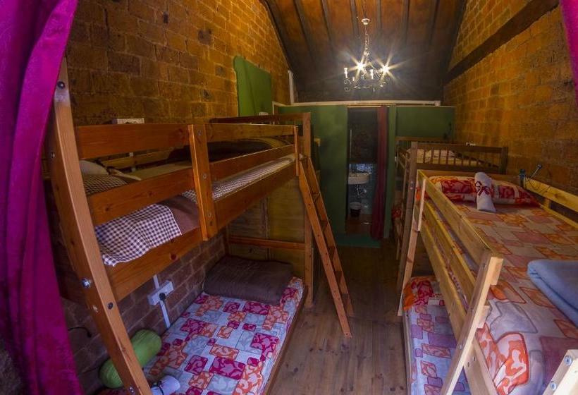 ユースホステル B&b La Laguna