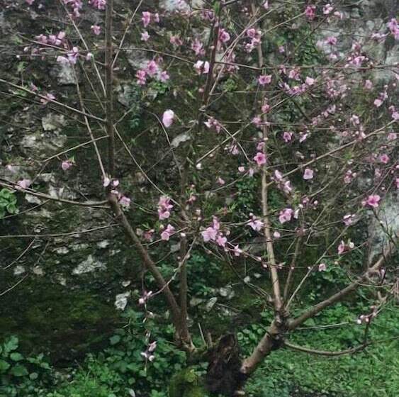 Albergue De Peregrinos La Bilbaina   Hostel