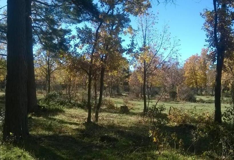 הוסטל El Refugio Del Dragón