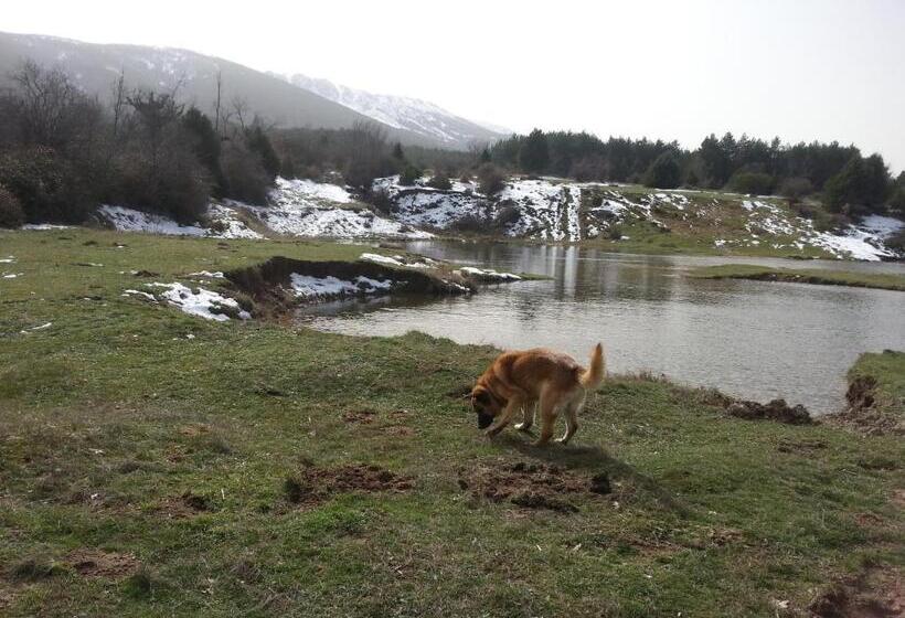 הוסטל El Refugio Del Dragón