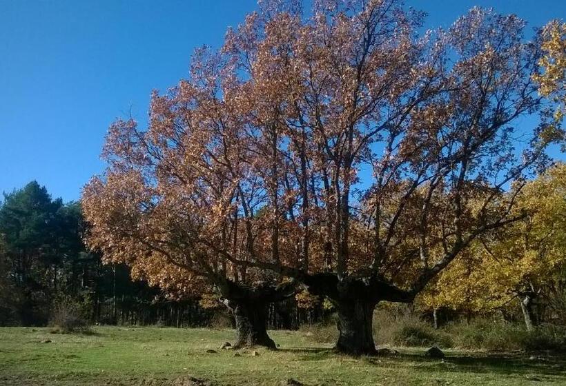 הוסטל El Refugio Del Dragón
