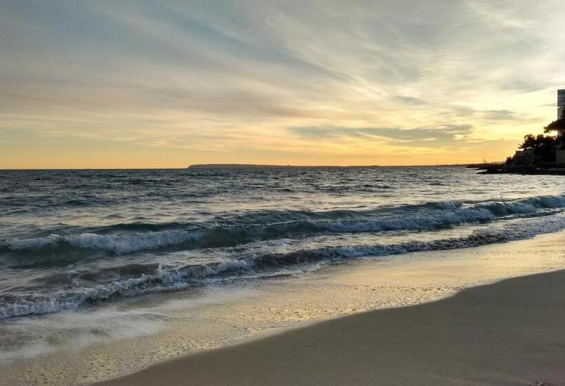 هاستل Old Center Inn Alicante