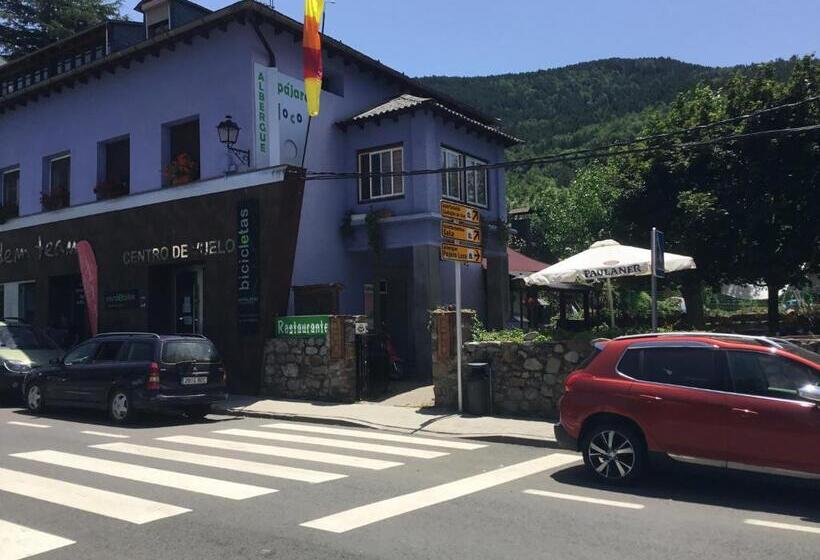 Albergue Pájaro Loco