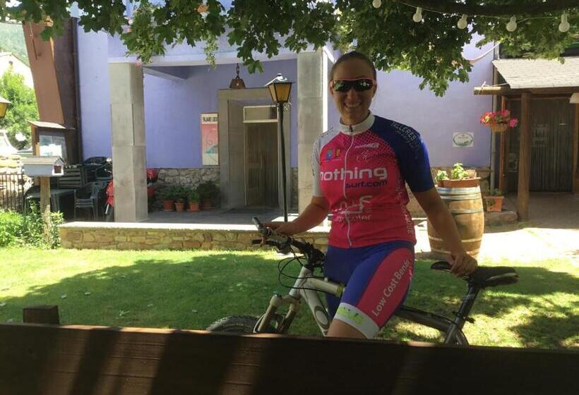 Albergue Pájaro Loco