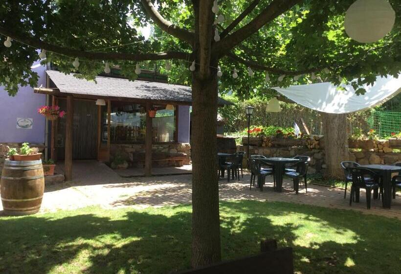 Albergue Pájaro Loco