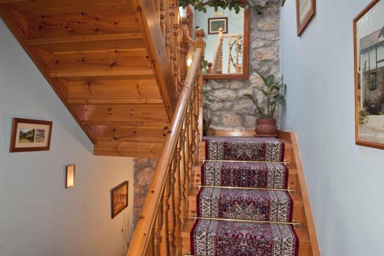 Общежитие Posada Los Taranos