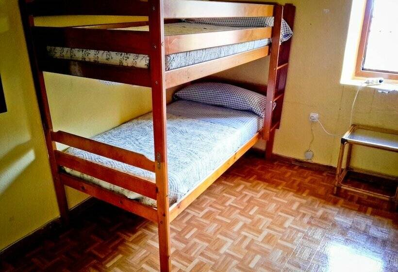 Surftolive House   Hostel