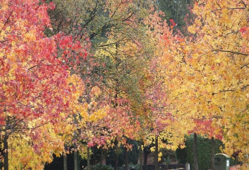 Alberg Olot Xanascat