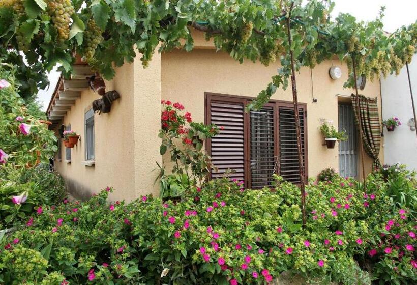 Albergue Turistico Torre De Sabre