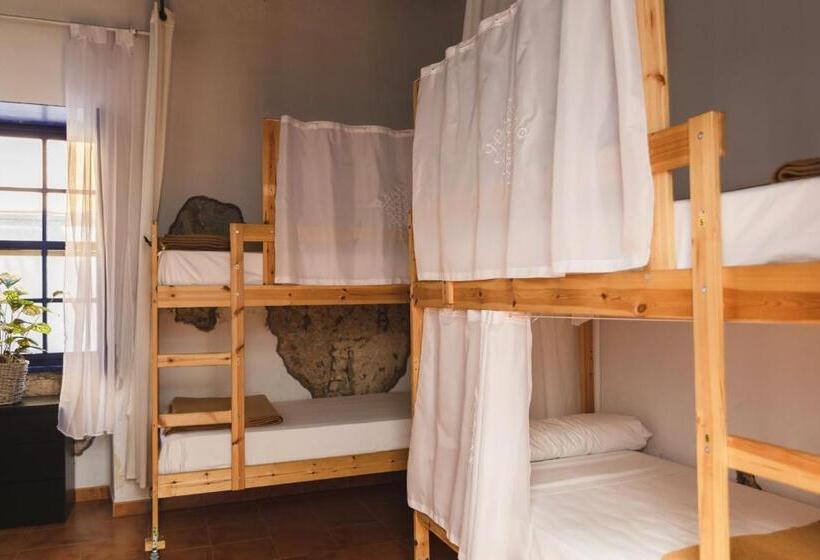 Ashavana Nest Hostel